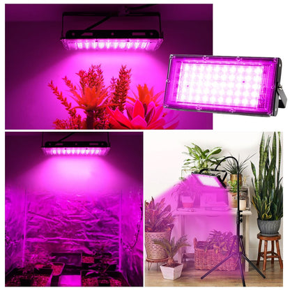 Full Spectrum Lamp for Plant Growth