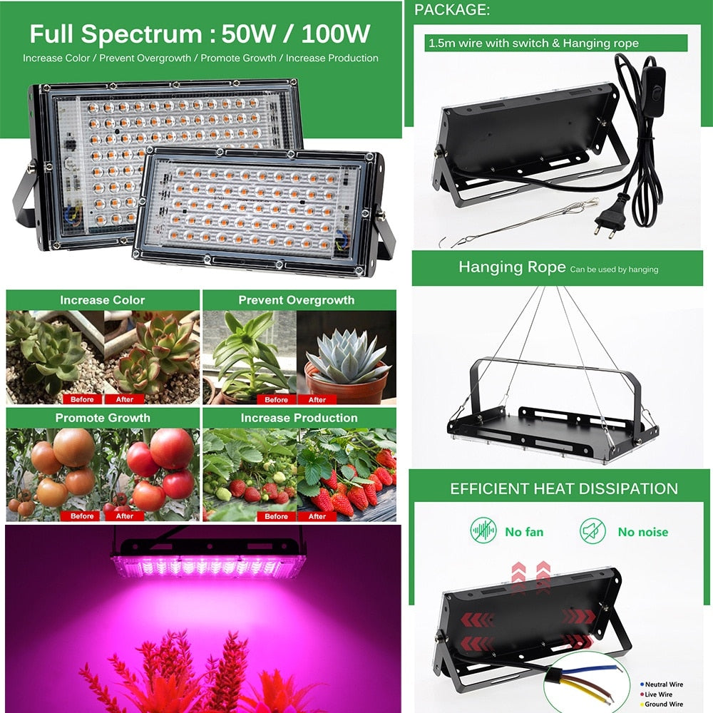 Full Spectrum Lamp for Plant Growth